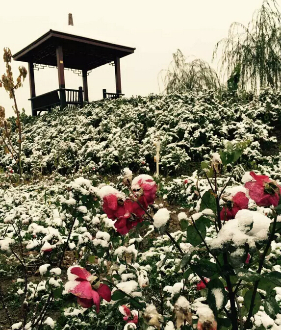 下雪天的躍迪集團(tuán)，咱也跟跟風(fēng)。。。