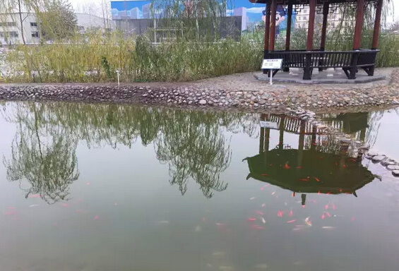下雪天的躍迪集團(tuán)，咱也跟跟風(fēng)。。。