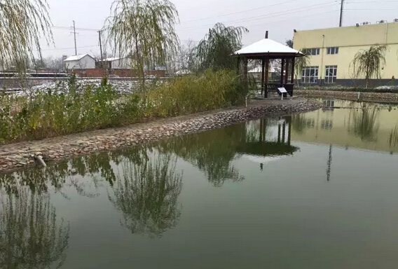 下雪天的躍迪集團(tuán)，咱也跟跟風(fēng)。。。
