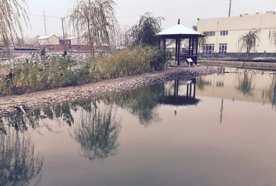 下雪天的躍迪集團(tuán)，咱也跟跟風(fēng)。。。