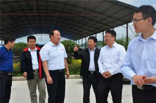 陜西省商洛市常務副市長調(diào)研