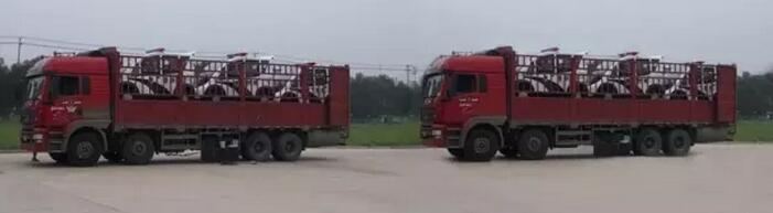 躍迪移動城管執(zhí)法站、躍迪電動巡邏車大批量發(fā)往首都北京——有躍迪，才安心