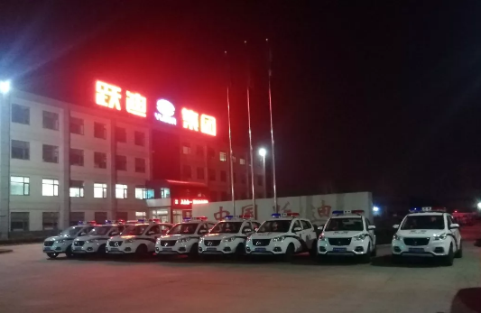 護航兩會，躍迪在行動|躍迪電動警用巡邏車海南執(zhí)勤，助力和諧兩會
